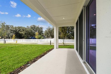 New construction Single-Family house 11309 Hardwood Hammock Ln, Riverview, FL 33569 plan The Sparkman - image