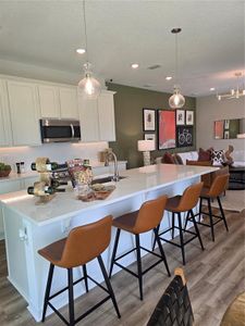 Delaney Reserve by Hartizen Homes in Deland - photo 13 13