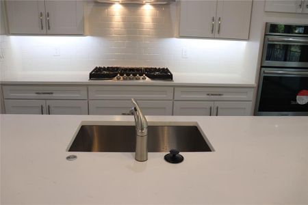 New construction Single-Family house 4676 Hickory Oak Dr, Brooksville, FL 34601 - image 17