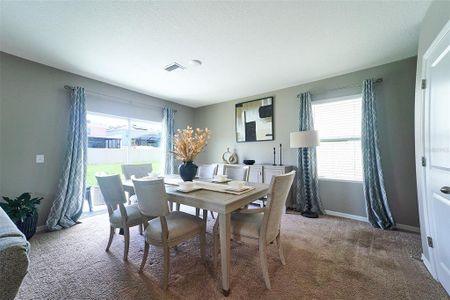 New construction Single-Family house 10826 Trailing Vine Dr, Tampa, FL 33610 null- photo 25 25