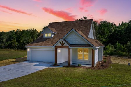 New construction Single-Family house 1089 Irving Manigault Rd, McClellanville, SC 29458 - image
