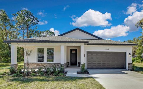 New construction Single-Family house 12326 Deep Creek Dr, Spring Hill, FL 34609 null- photo 0