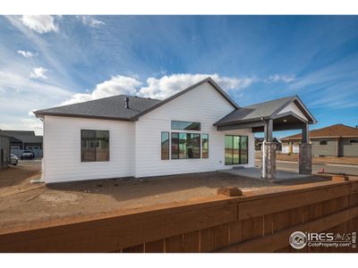 New construction Single-Family house 194 Boxwood Dr, Windsor, CO 80550 - image