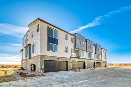 New construction Single-Family house 1621 Alcott Wy, Broomfield, CO 80023 plan Beacon - image
