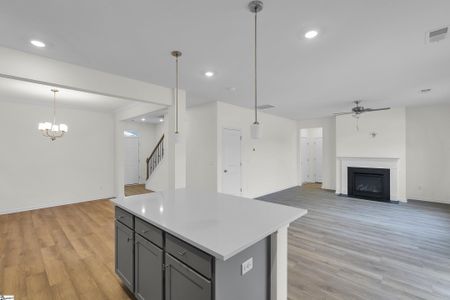 New construction Single-Family house 301 Ecton Pl, Greenville, SC 29605 plan Porter II - image 14