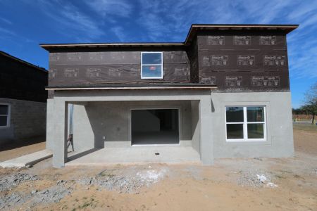 New construction Single-Family house 38350 Tobiano Loop, Dade City, FL 33525 Cabo- photo 57 57