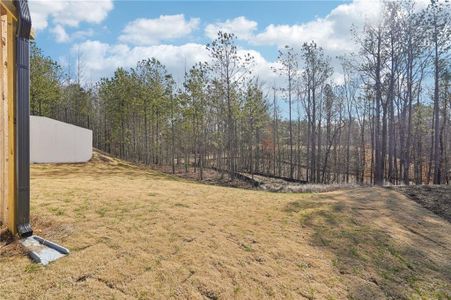 New construction Single-Family house 355 Ivey Township Dr, Dallas, GA 30312 Chatham Basement- photo 67 67