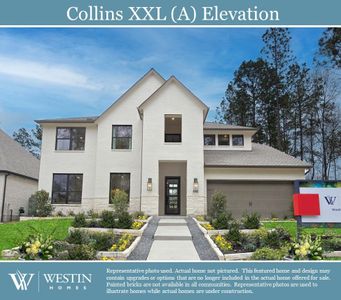 New construction Single-Family house 16701 Moineau Drive, Austin, TX 78738 - photo 0