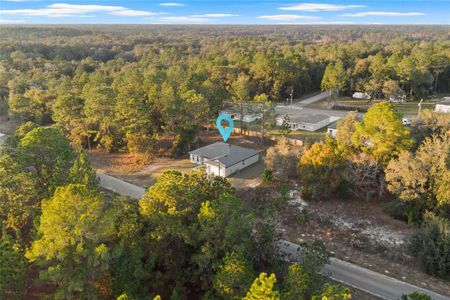 New construction Single-Family house 1985 W Corrine St, Citrus Springs, FL 34434 - image