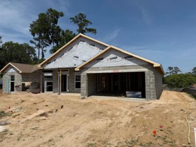 New construction Single-Family house 85 Nw 45Th Lp, Ocala, FL 34475 - image