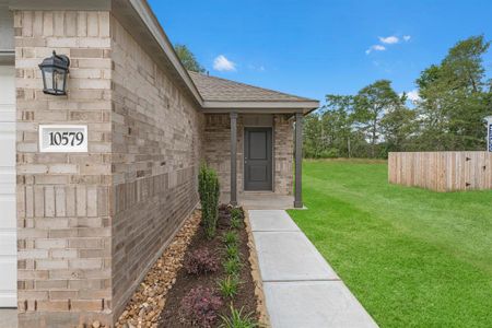 New construction Single-Family house 13571 Bay Springs Dr, Conroe, TX 77303 RC Mitchell- photo 21 21