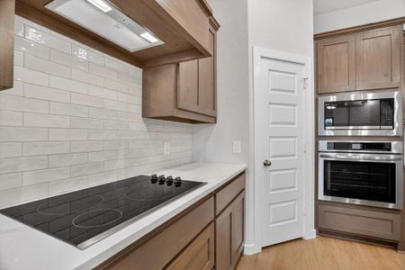New construction Single-Family house 321 Skeen Peak, Springtown, TX 76082 - image 9
