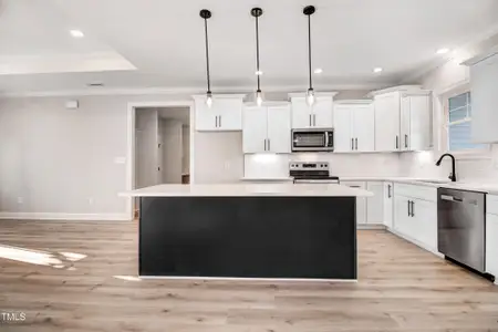 New construction Single-Family house 134 Cherry Birch Ln, Zebulon, NC 27597 - image 4