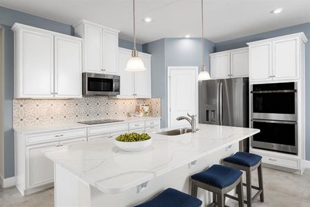 New construction Single-Family house 2486 White Ladyfish Rd, Wimauma, FL 33598 - image