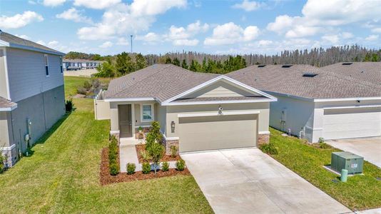 New construction Single-Family house 17965 Dairy Farm Ct, Land O' Lakes, FL 34638 null- photo 4 4