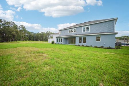 New construction Single-Family house 33857 Landsman Loop, Wesley Chapel, FL 33543 null- photo 57 57