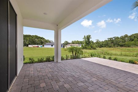 New construction Single-Family house 11328 Weaver Hollow Road, New Port Richey, FL 34654 - photo 29 29