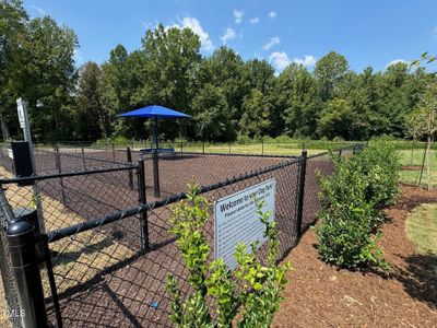 Community Dog Park