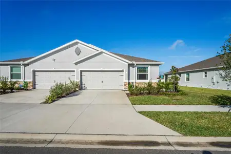 New construction Single-Family house 31511 Ancient Sage Rd, Wesley Chapel, FL 33545 - image