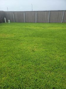 New construction Single-Family house 16706 Grazed Fallow Trl, Hockley, TX 77447 plan Newlin - image
