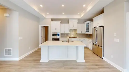 New construction Single-Family house 330 Sassafras Wy, Holly Springs, GA 30115 plan Palazzo - image 6