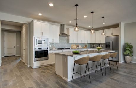 Marbella at Windrose by Beazer Homes in Waddell - photo 17 17