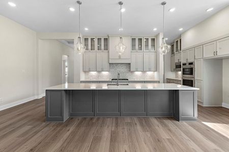 New construction Single-Family house 10827 Rosary Pea Ln, Cypress, TX 77433 plan Carignan - image 13