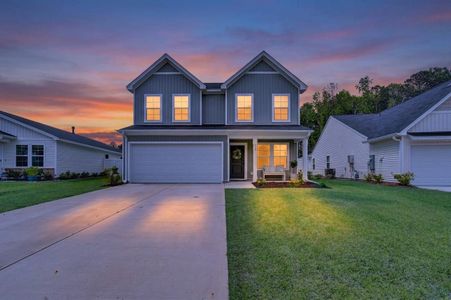 New construction Single-Family house 250 Twin Ponds Dr, Hardeeville, SC 29927 - image