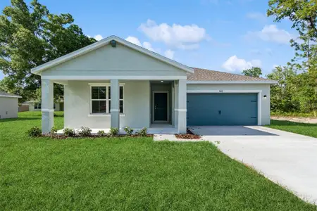 New construction Single-Family house 8651 SW 138th St, Ocala, FL 34473 plan Daffodil IV - image
