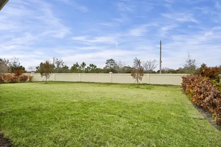 New construction Single-Family house 5697 Bent Pine Sq, Vero Beach, FL 32967 plan Tavvo - image 3