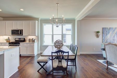 New construction Single-Family house 4 Tirian Pl, Acworth, GA 30101 - image 12