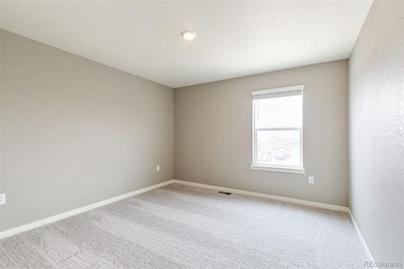 New construction Single-Family house 18399 Field Mint Pt, Parker, CO 80134 HENNESSY- photo 23 23