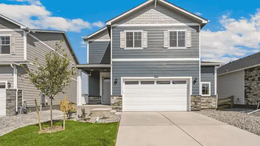 New construction Single-Family house 395 N Amory St, Watkins, CO 80137 plan Pine - image