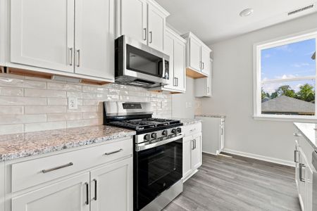 New construction Single-Family house 34 Baird Cove Ln, Angier, NC 27501 plan The Hawthorne - image 7