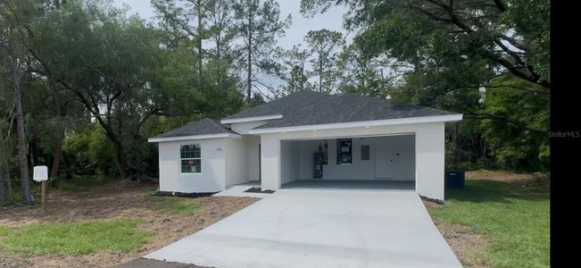 New construction Single-Family house 2132 Pine Meadows Golf Course Rd, Eustis, FL 32726 - image