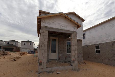 New construction Single-Family house 17340 Beachgrass Aly, Winter Garden, FL 34787 plan Baldwin - Avenue Collection - image