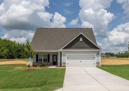 New construction Single-Family house 267 Taverners Ln, Angier, NC 27501 plan Birch - image