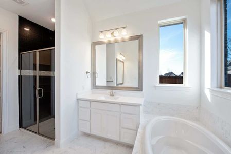 New construction Single-Family house 2036 Grey Birch Pl, Aledo, TX 76008 plan 217 - image 13