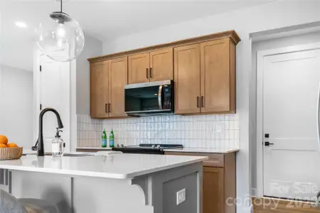 New construction Single-Family house 115 Chapel Crossing Ln, Unit 2, Weaverville, NC 28787 - image 11