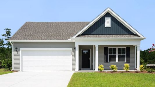 New construction Single-Family house 5337 Areca Rd, Castle Hayne, NC 28429 plan Cali - image