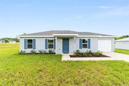 New construction Single-Family house 238 Locust Pass Cir, Ocala, FL 34472 null- photo 0