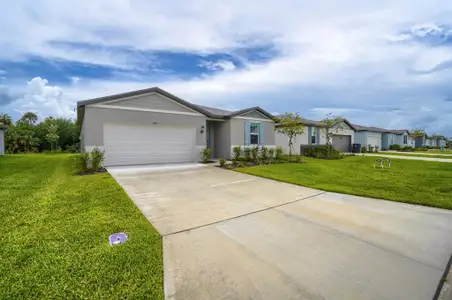 New construction Single-Family house 7625 Satterfield Ter, Parrish, FL 34219 plan Foxglove - image