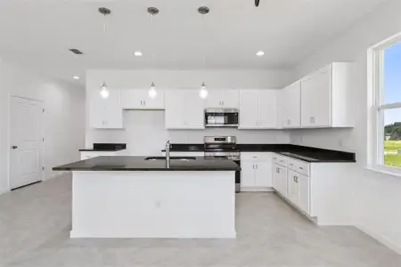 New construction Single-Family house 3712 Watercliff Cir, Grand Island, FL 32735 - image 5