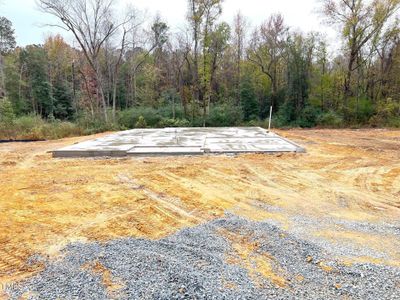 New construction Single-Family house 396 Oriental St, Unit 166, Angier, NC 27501 Avondale- photo 13 13