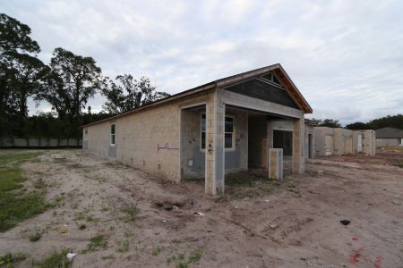 New construction Single-Family house 20243 Oriana Loop, Land O' Lakes, FL 34638 Corina  III Bonus- photo 56 56