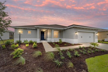 New construction Single-Family house 10027 Sw 106Th Cir, Ocala, FL 34481 plan Livingston - image