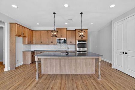 New construction Single-Family house 174 Classic Overlook, Homer, GA 30547 - image 3