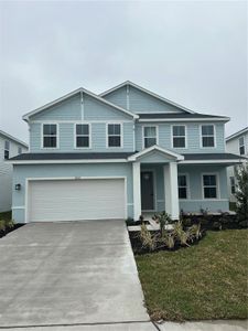 New construction Single-Family house 10122 Zennia Ln, Parrish, FL 34219 null- photo 0