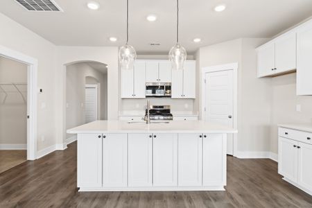 Montague Lakes by Hunter Quinn Homes in Easley - image 4