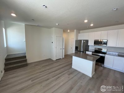 Living room and kitchen